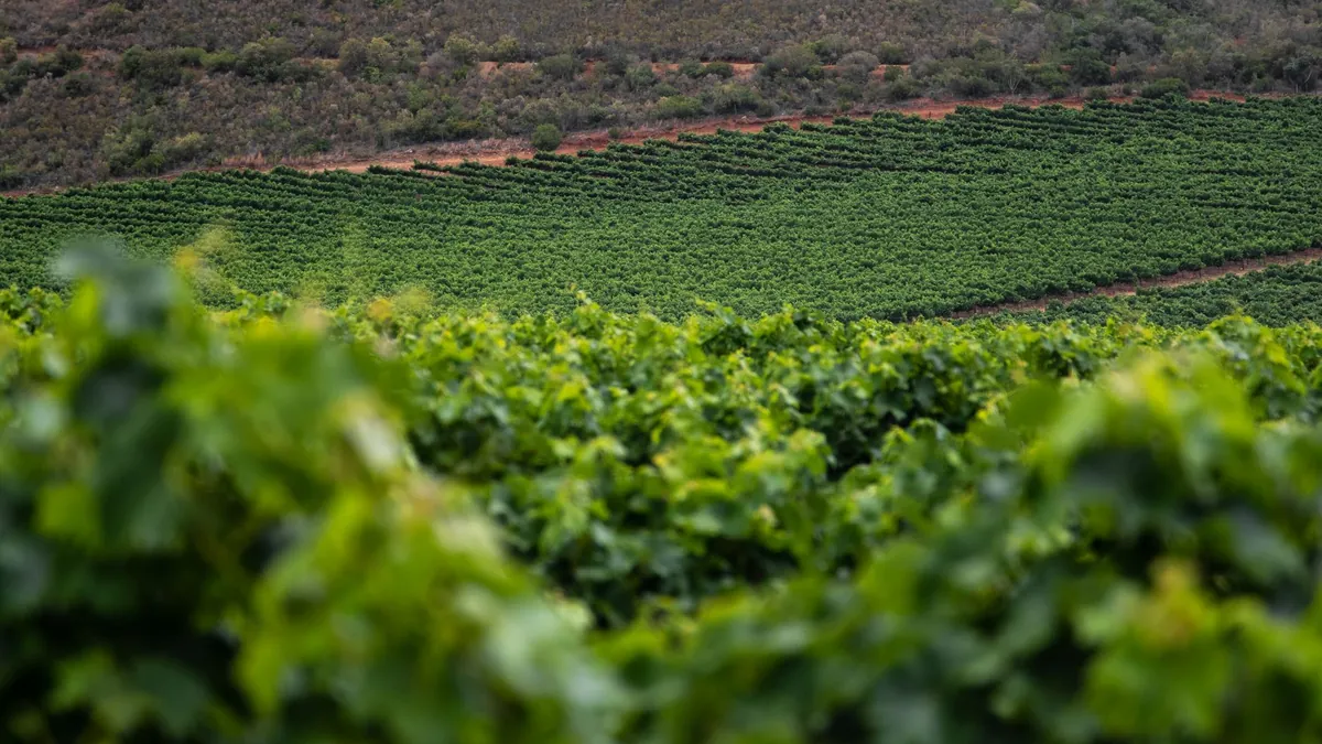 Tokaj Hungary