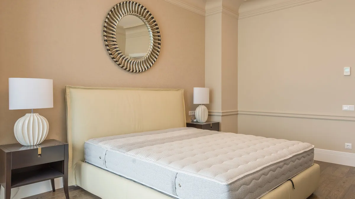 Visible Dark Stains and Fecal Spots on Mattress Seams and Headboards