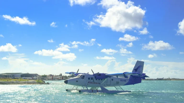 Why You Should Never Drink Tap Water on Airplanes